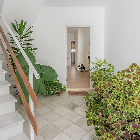 Casa Los Naranjos en Vejer Vejer de la Frontera Eksteriør billede